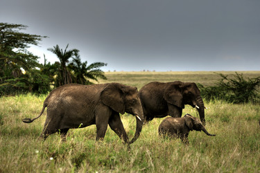 Similar image 122603