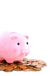 Similar image 122631