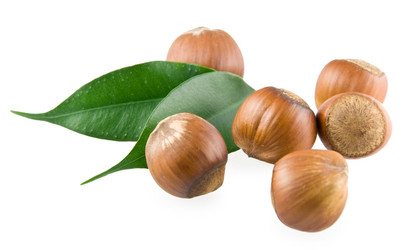 Similar image 122709