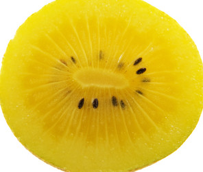 Similar image 122716