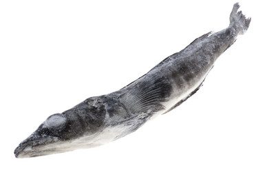 Similar image 122722