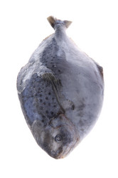 Similar image 122723