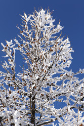 Similar image 122747