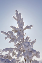 Similar image 122760