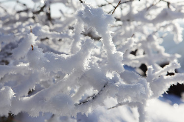 Similar image 122763