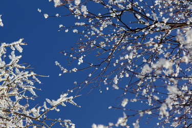 Similar image 122767