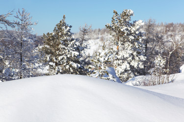 Similar image 122772