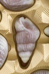 Similar image 122786