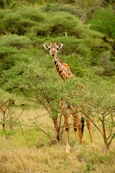 Similar image 122844