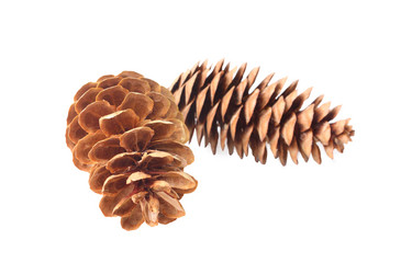 Similar image 122849