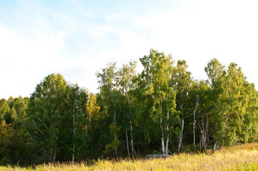 Similar image 122856