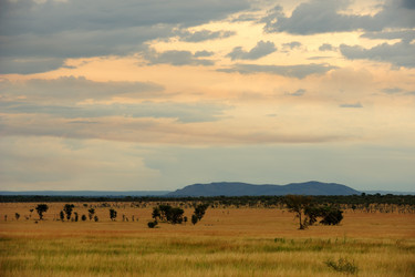 Similar image 122858