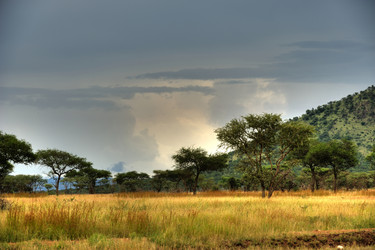 Similar image 122859