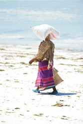 Similar image 122868