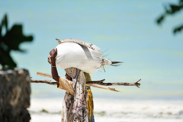 Similar image 122869