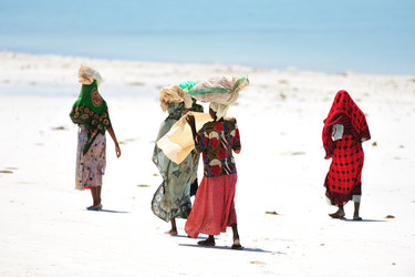 Similar image 122870