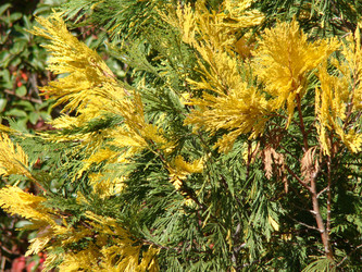 Similar image 122891