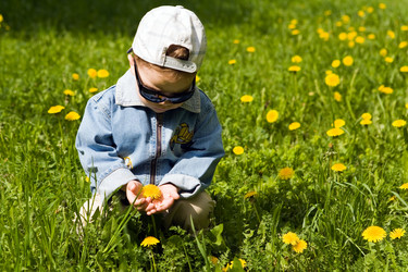 Similar image 123000