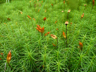 Similar image 123033