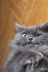 Similar image 123063