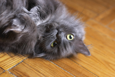 Similar image 123064