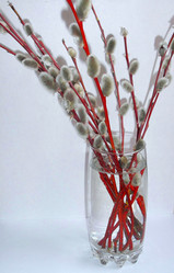 Similar image 123066