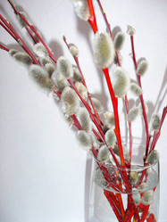 Similar image 123067