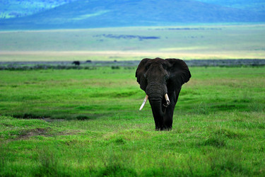 Similar image 123068