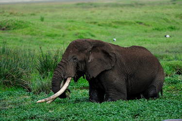 Similar image 123069