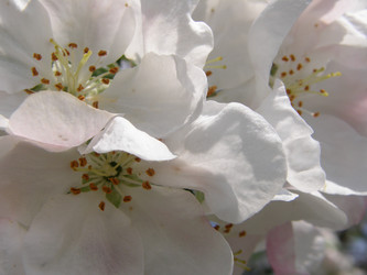 Similar image 123113