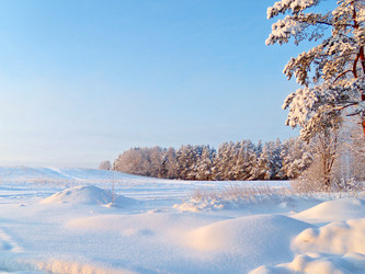 Similar image 123158