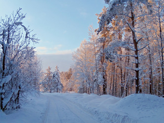 Similar image 123159