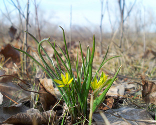 Similar image 123177