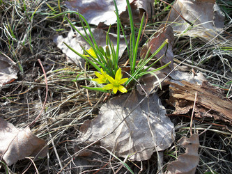 Similar image 123178