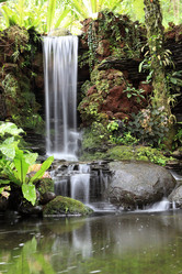 Similar image 123183