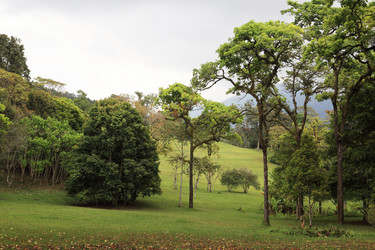 Similar image 123231