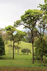 Similar image 123232