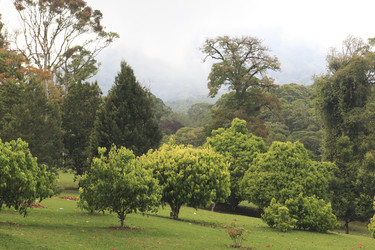 Similar image 123234