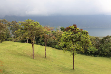 Similar image 123236