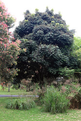 Similar image 123237