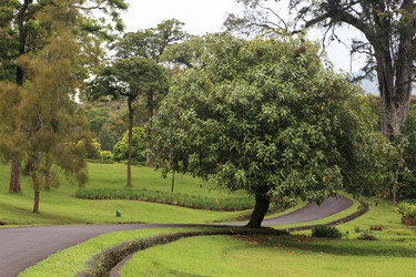 Similar image 123239