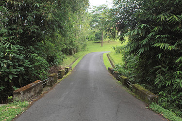 Similar image 123242