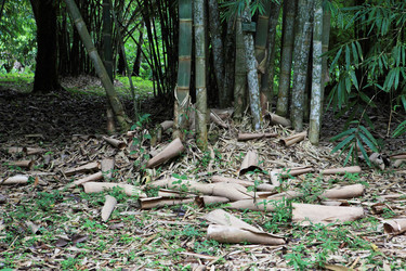 Similar image 123245