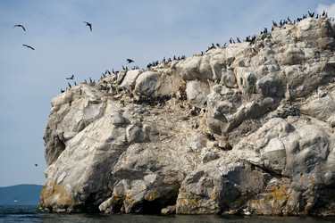 Similar image 123285