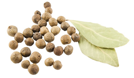 Similar image 123288