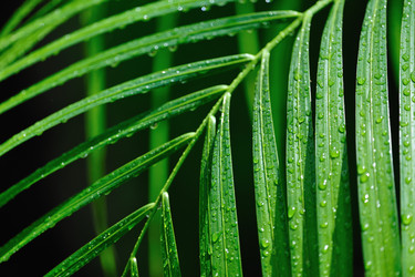 Similar image 123340