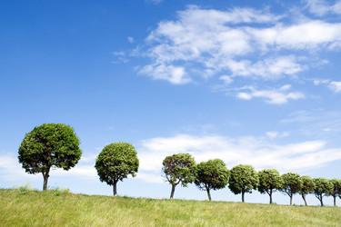 Similar image 123341