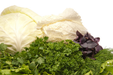 Similar image 123354