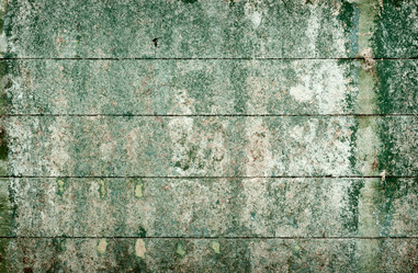 Similar image 123363