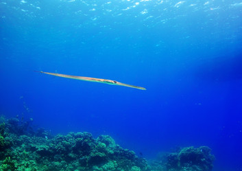 Similar image 123365